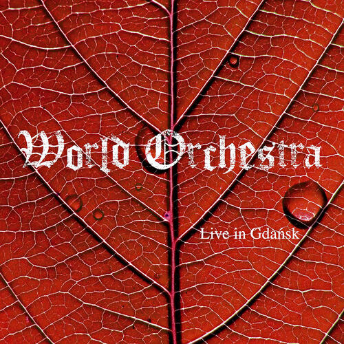 Grzech Piotrowski World Orchestra - Tapan (Instrumental)