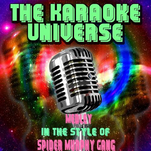 The Karaoke Universe - Medley (Karaoke Version) [In the Style of Spider Murphy Gang]