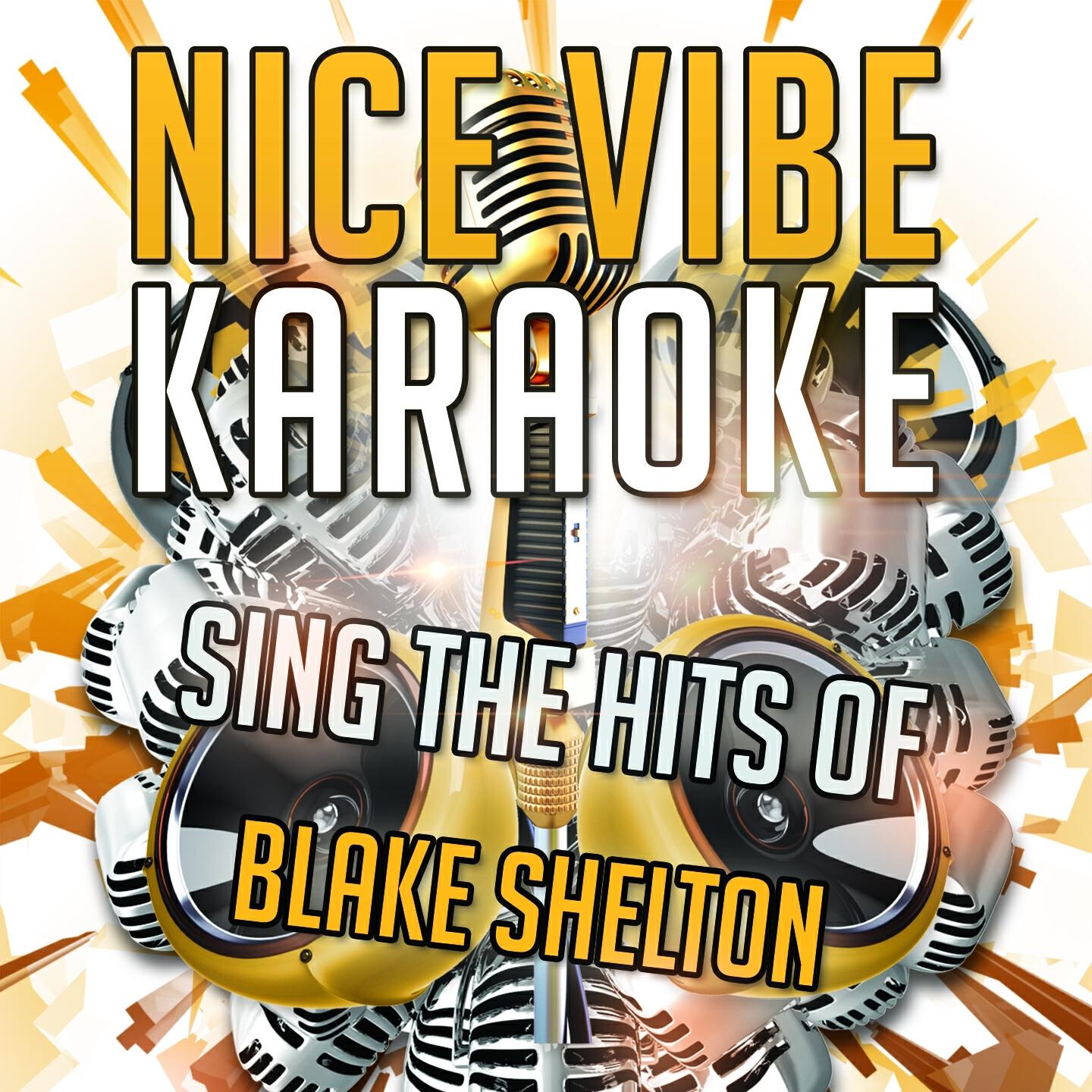 Nice Vibe - Austin (Karaoke Version) (Originally Performed By Blake Shelton)