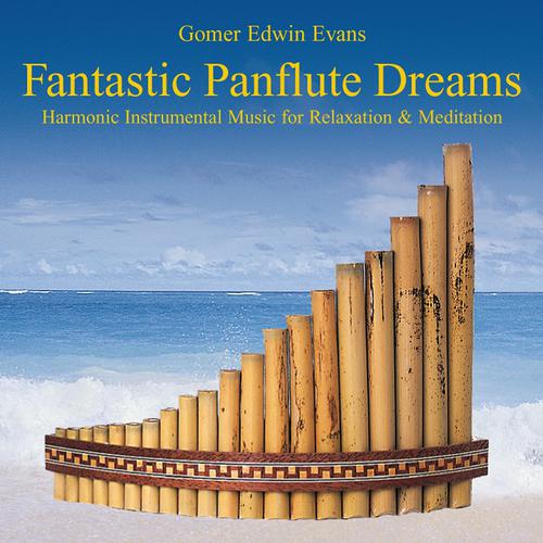 Постер альбома Fantastic Panflute Dreams: Instrumental Music for Relaxation