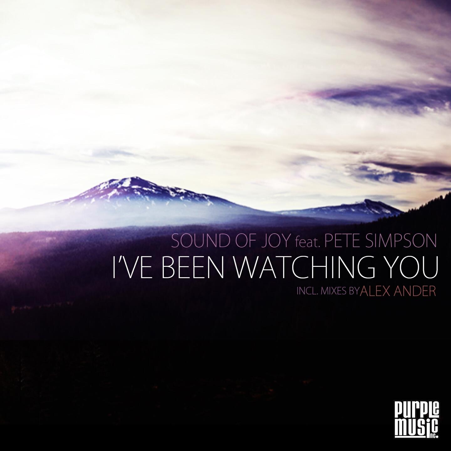 Sound of Joy - I've Been Watching You (Alex Ander Reprise)