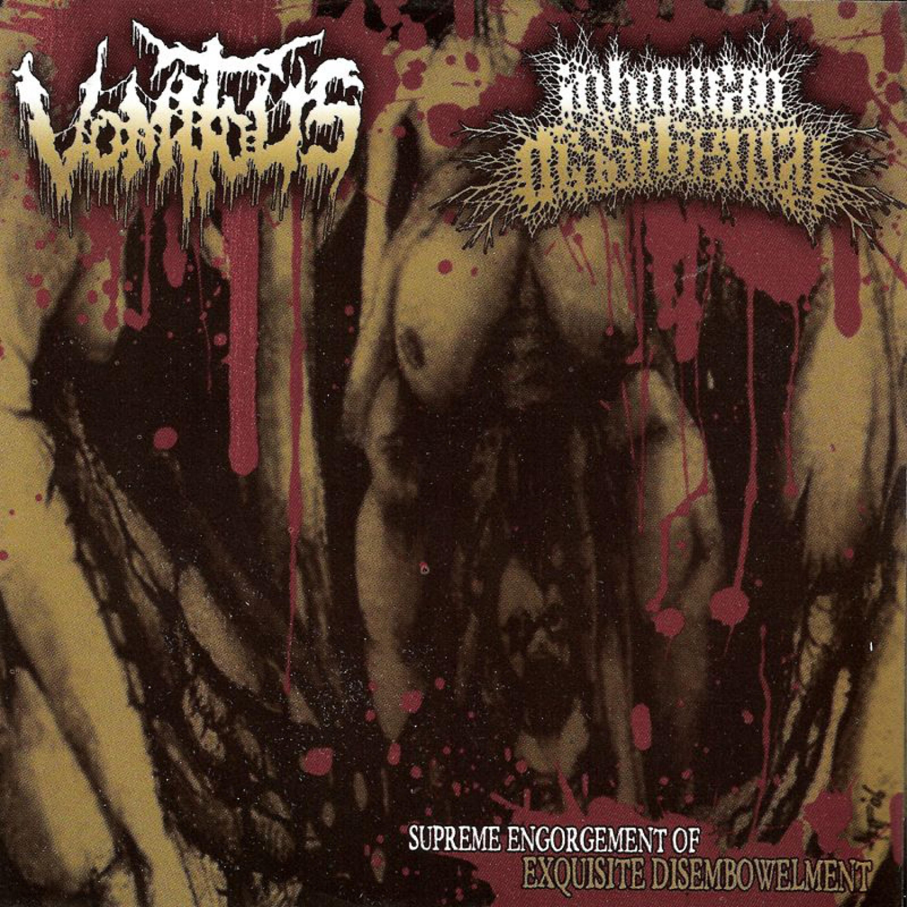 Inhuman Dissiliency - Vomiting Decayed Fecal Matter