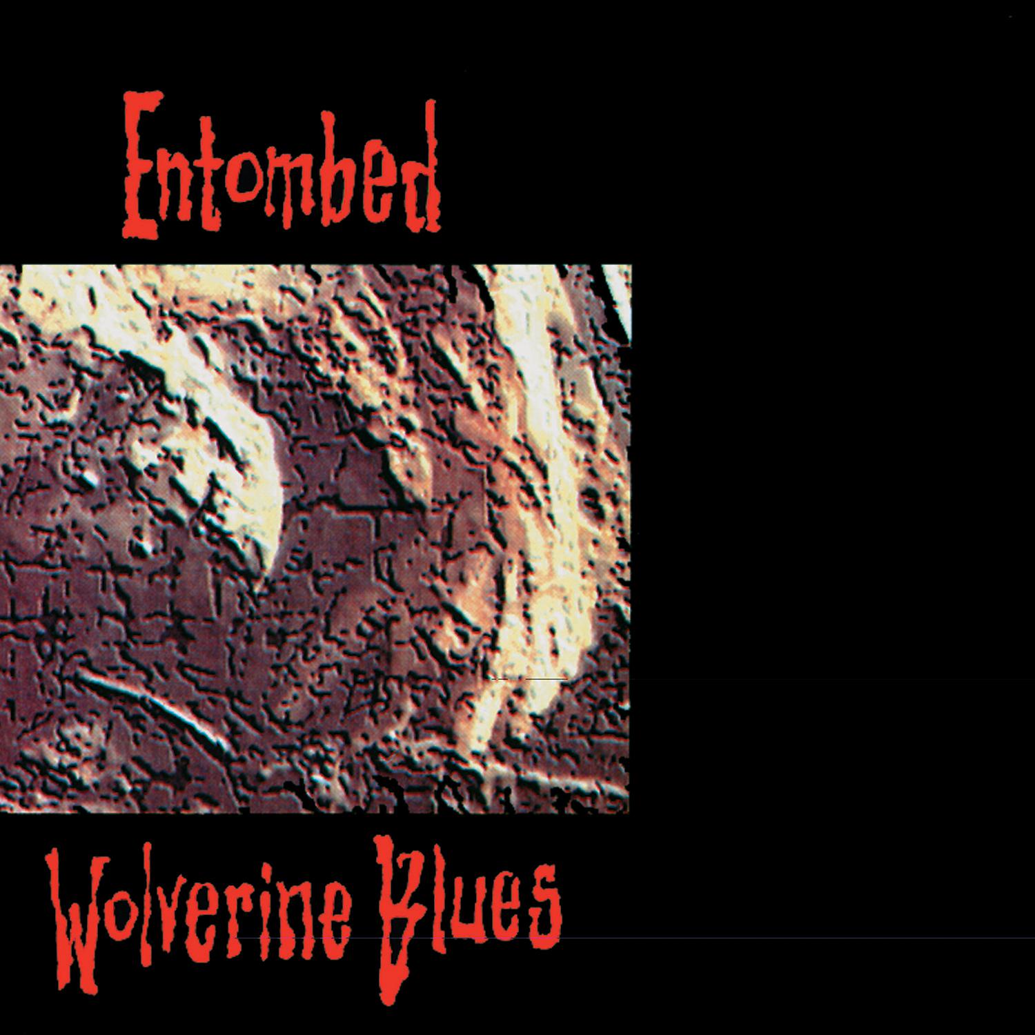 Постер альбома Wolverine Blues (Full Dynamic Range Edition)