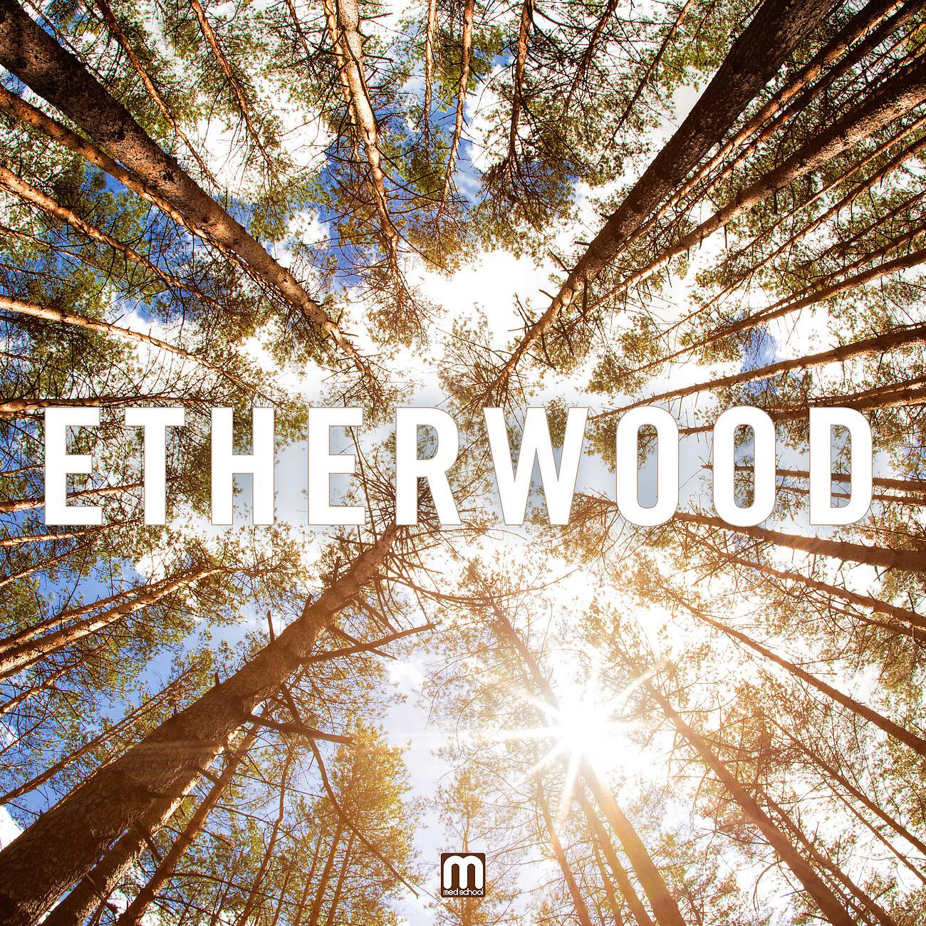 Etherwood - Borderline