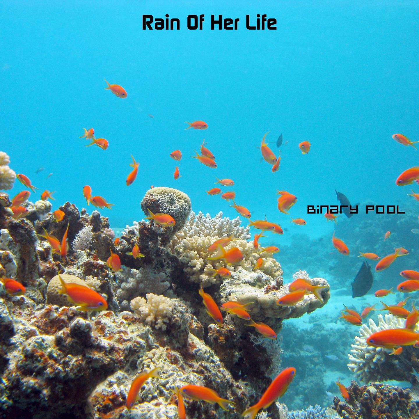 Постер альбома Rain Of Her Life