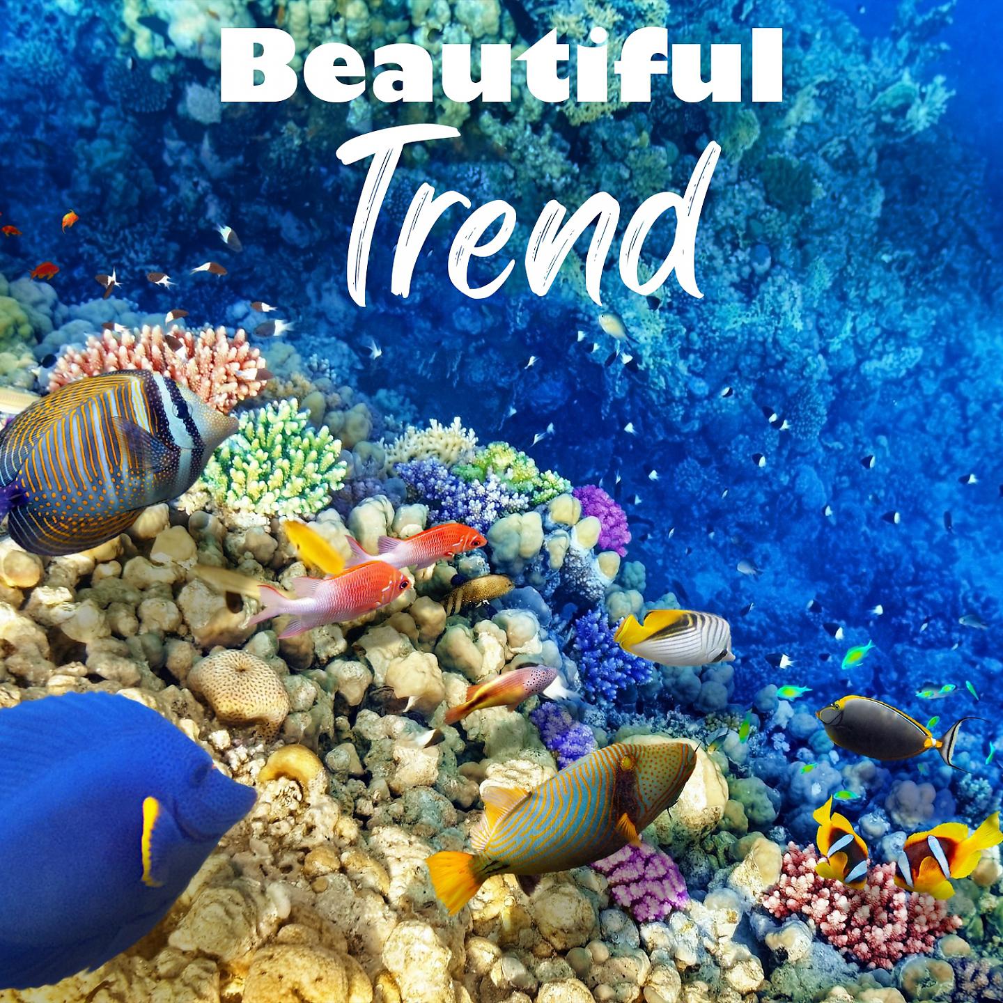 Постер альбома Beautiful Trend
