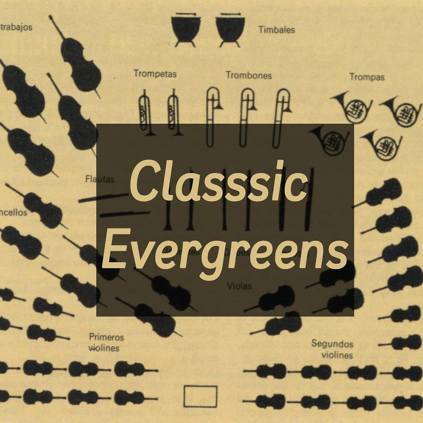 Постер альбома Classical Evergreens