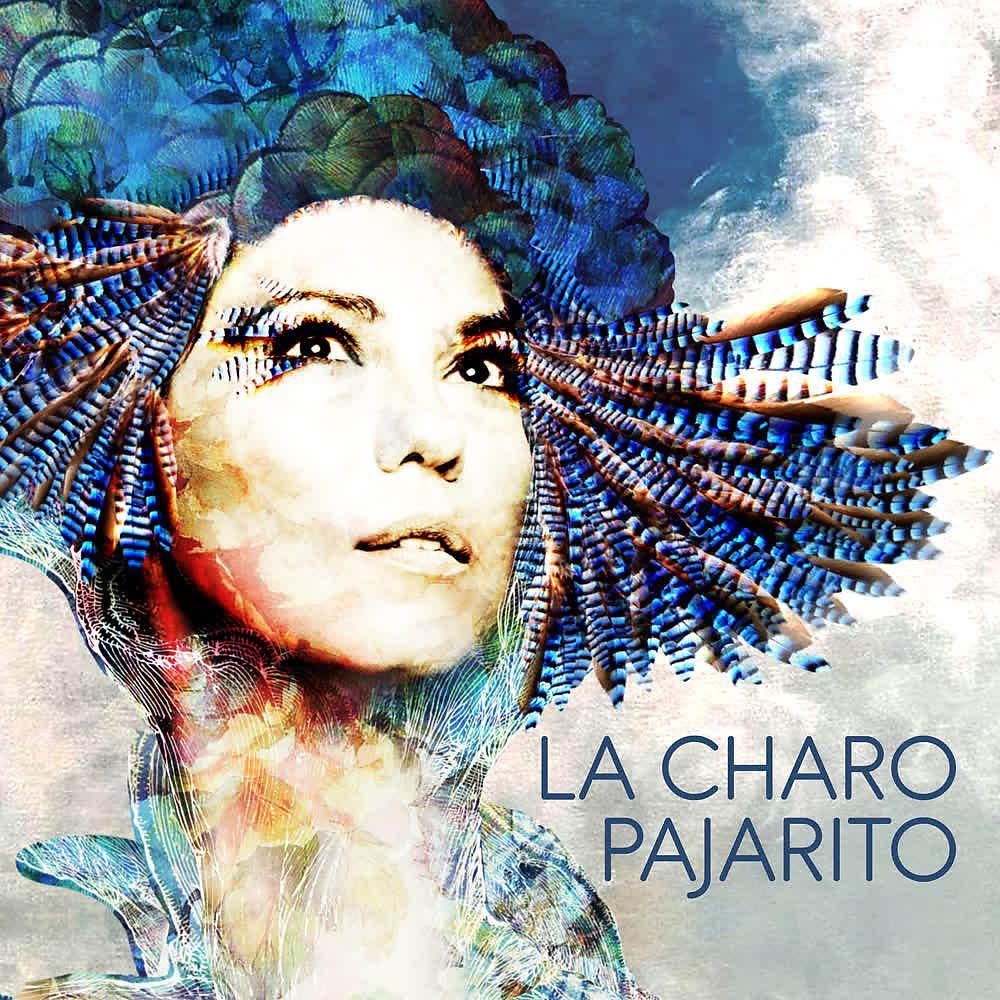 Постер альбома Pajarito