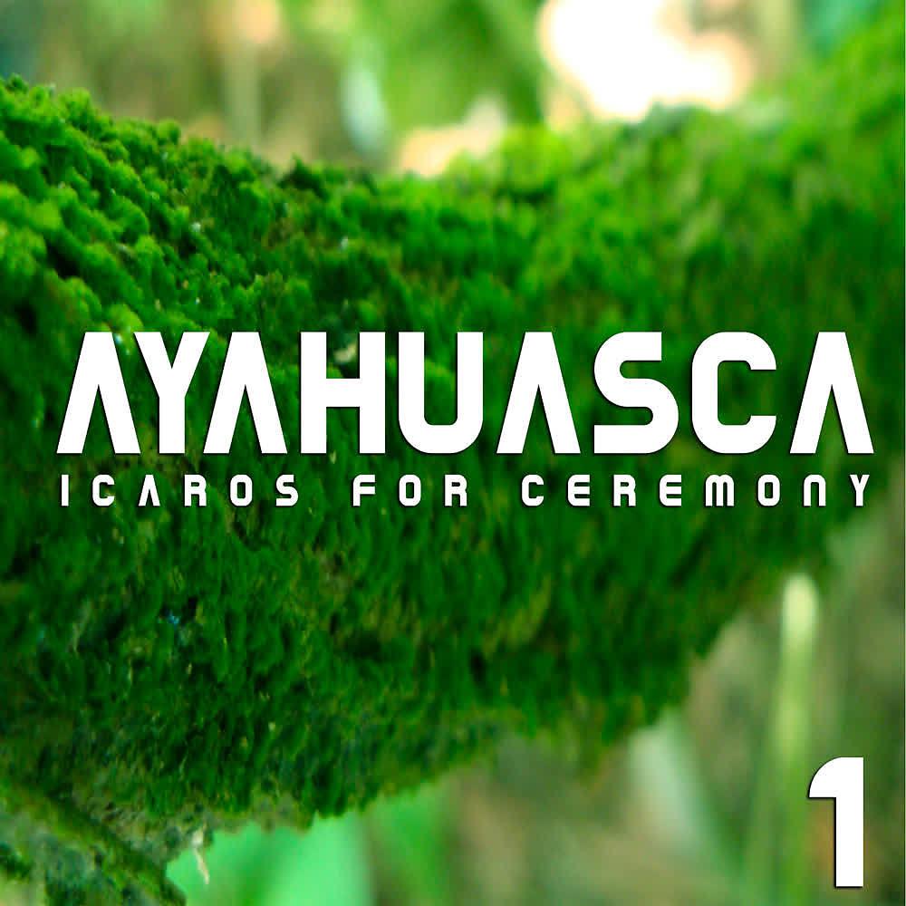 Постер альбома Icaros For Ceremony (Vol. 1)