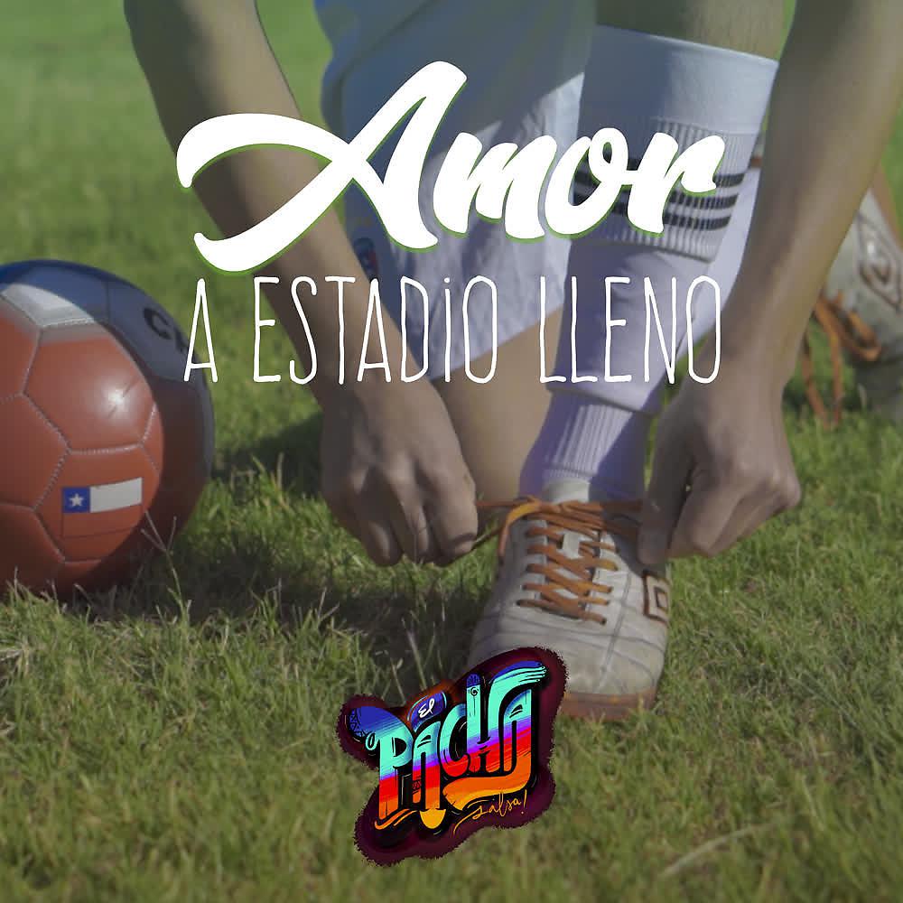Постер альбома Amor a Estadio Lleno