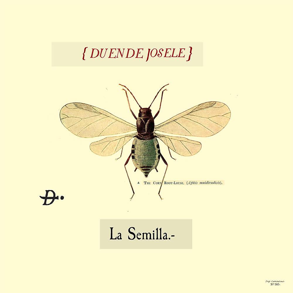 Постер альбома La Semilla