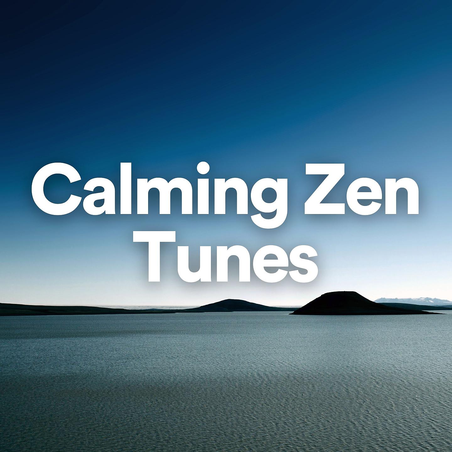 Постер альбома Calming Zen Tunes
