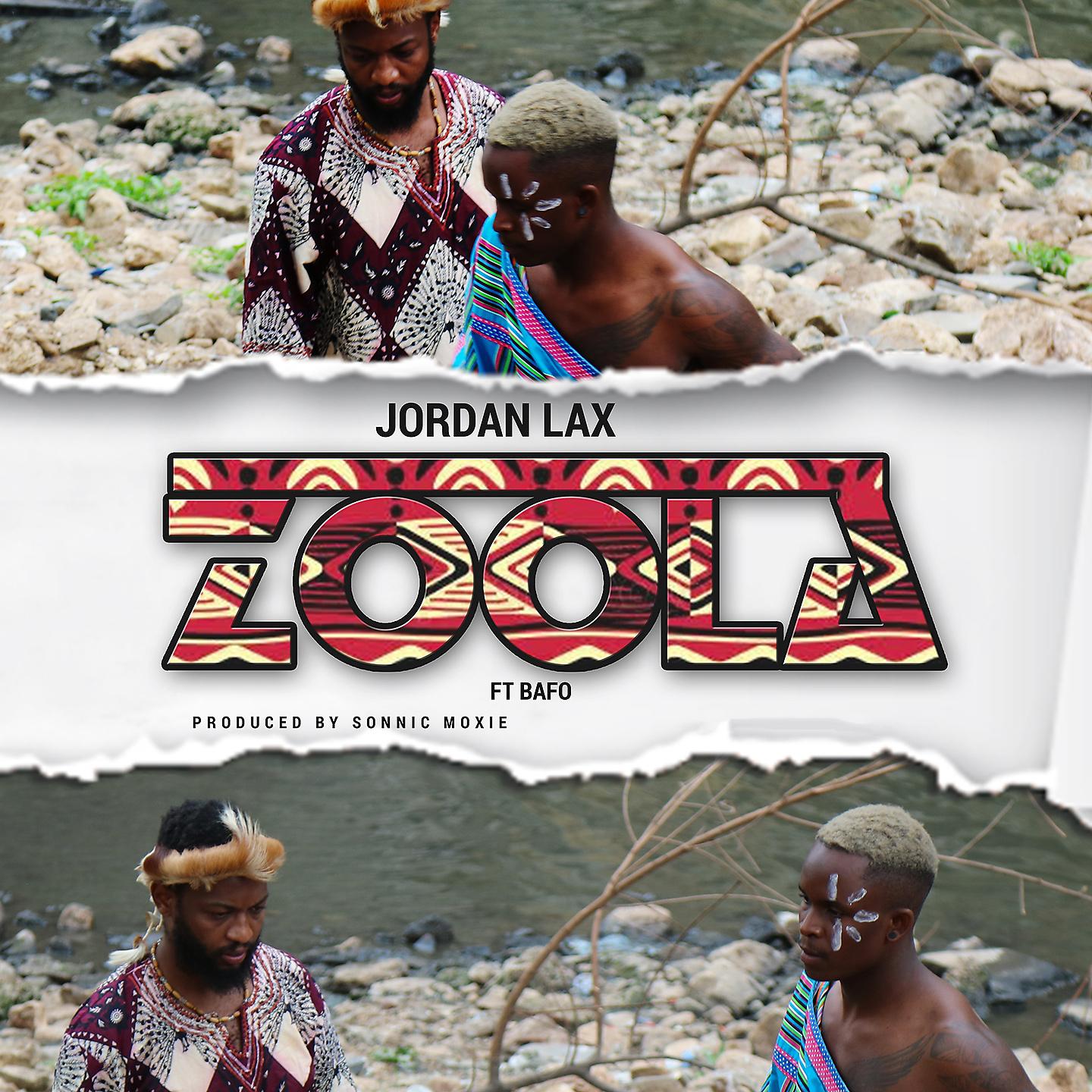 Постер альбома Zoola
