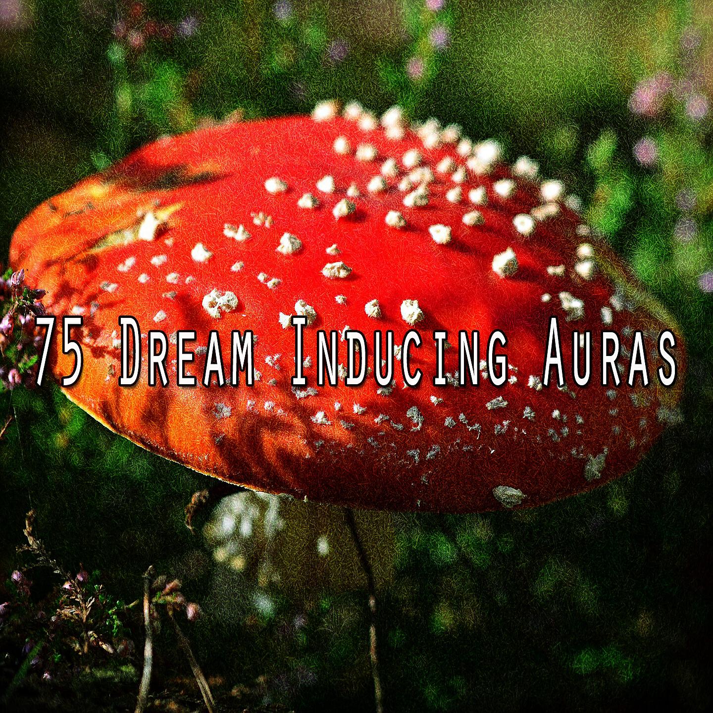 Musica para Dormir Dream House - Control Your Sleep