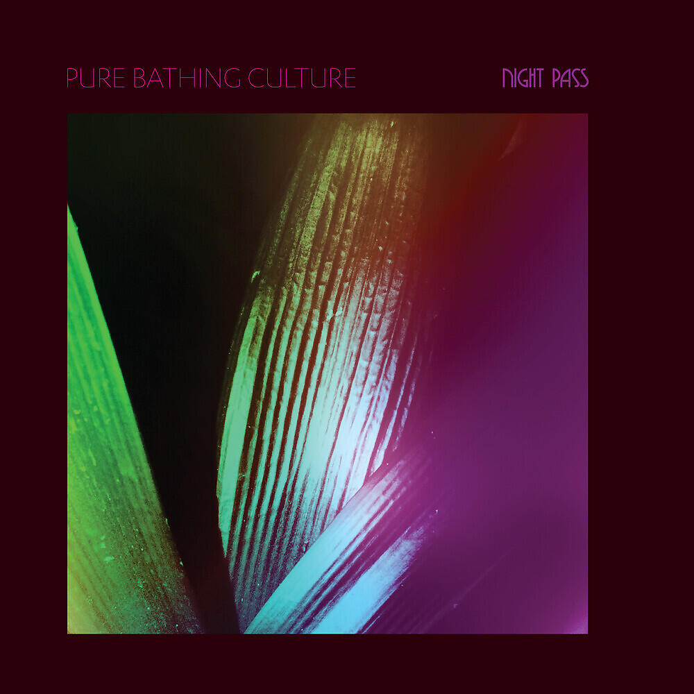 Pure Bathing Culture - Joyous Lake