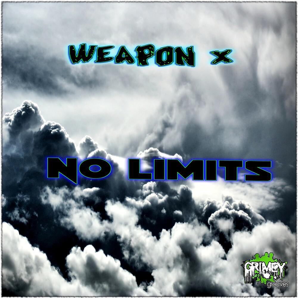 Постер альбома No Limits