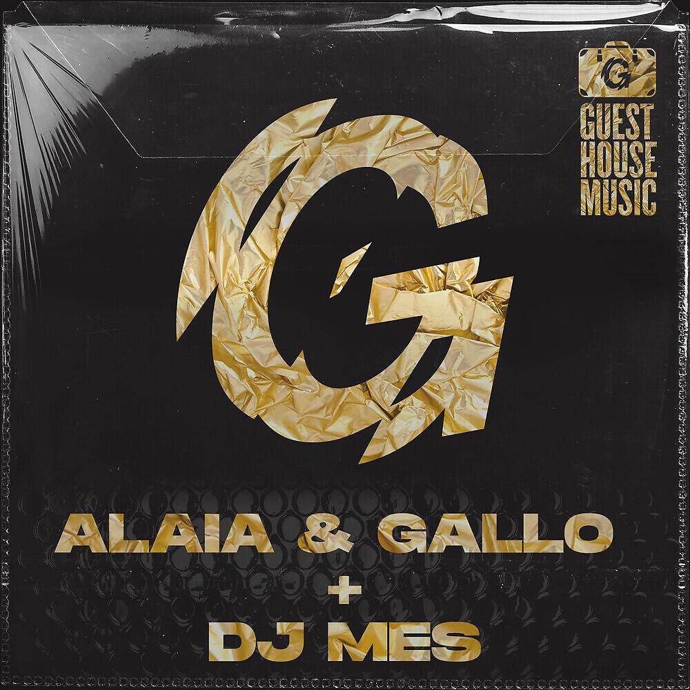 Alaia & Gallo - Who Knows (DJ Mes Town Bizz Mix)