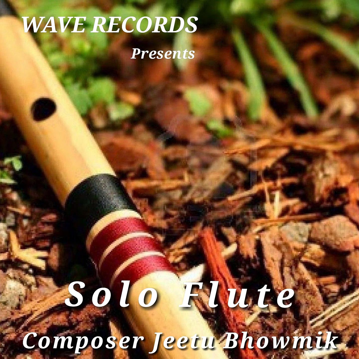 Постер альбома Solo Flute