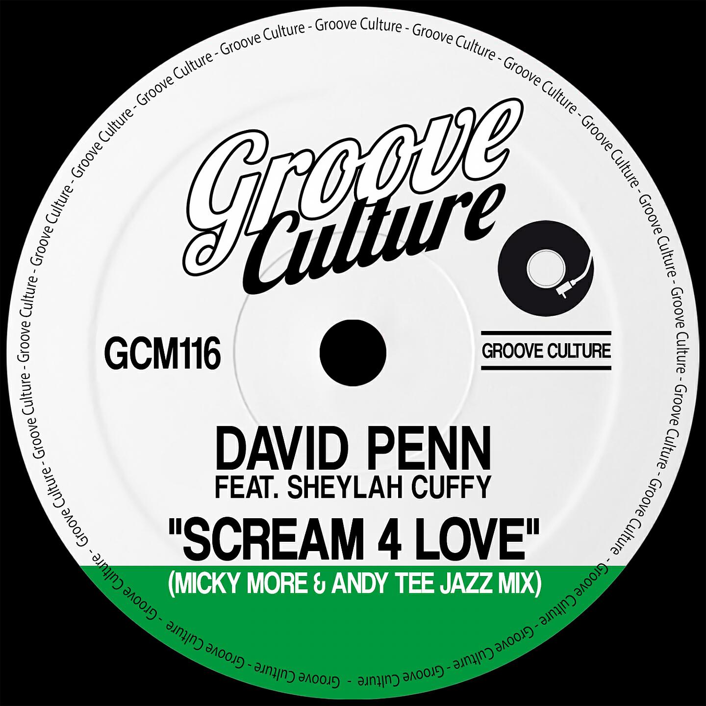 David Penn - Scream 4 Love (Micky More & Andy Tee Jazz Mix)