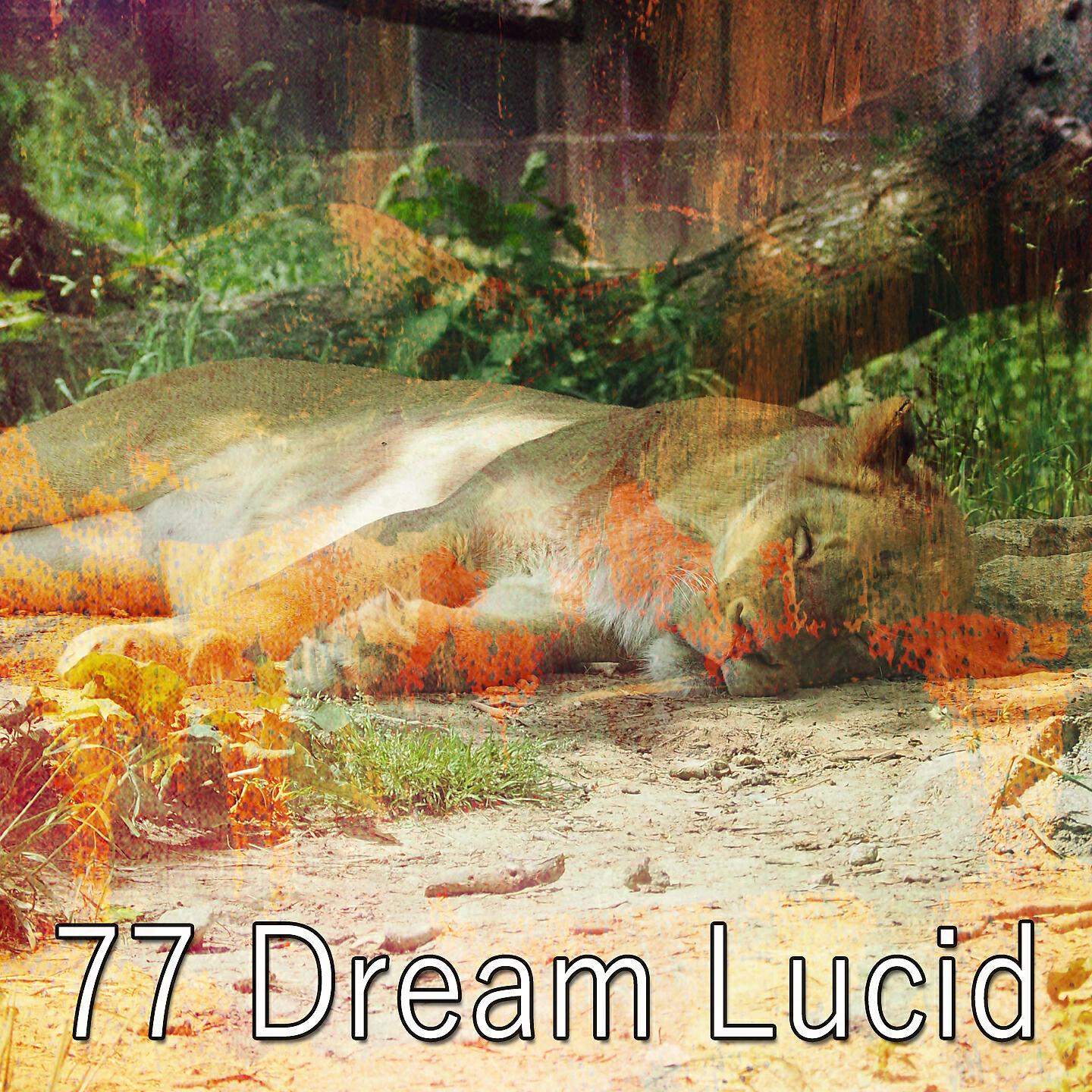 Sleep Sounds Of Nature - Trusting Rest
