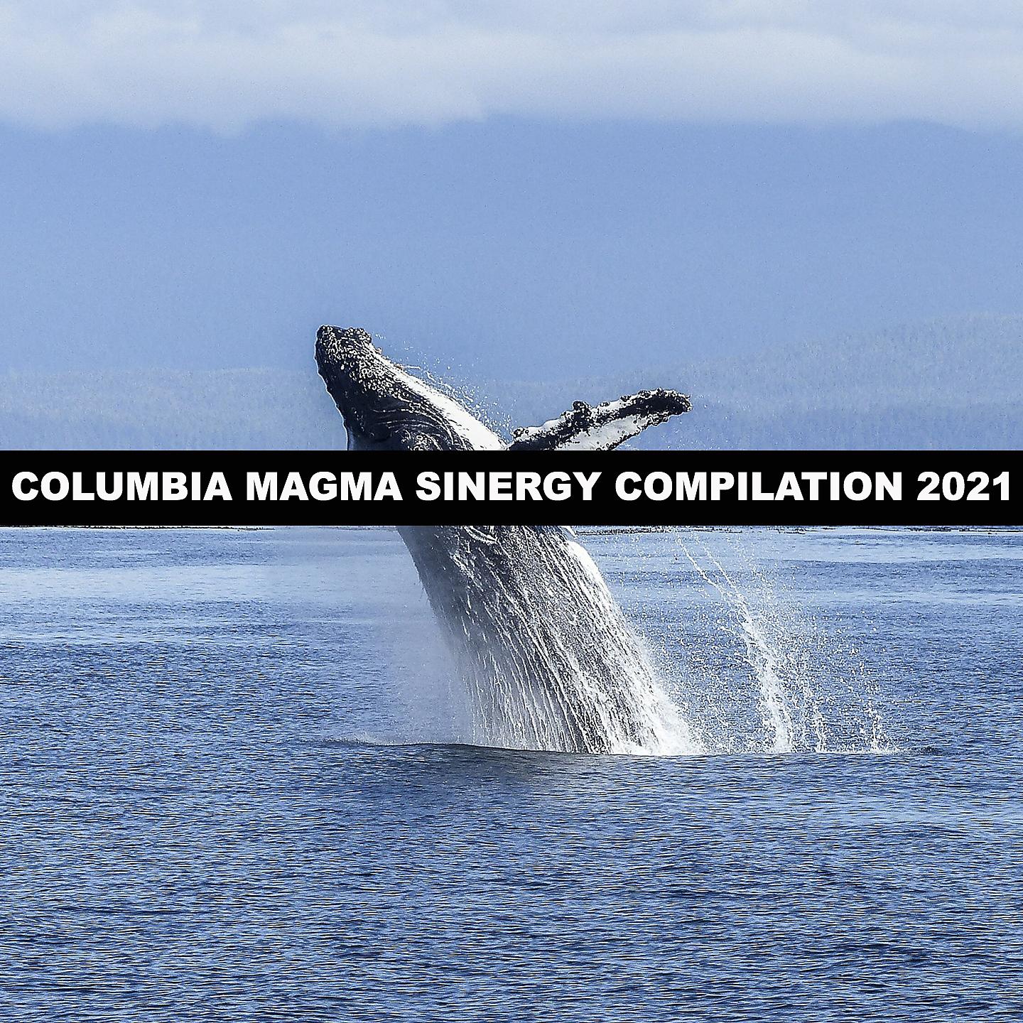 Постер альбома COLUMBIA MAGMA SINERGY COMPILATION 2021
