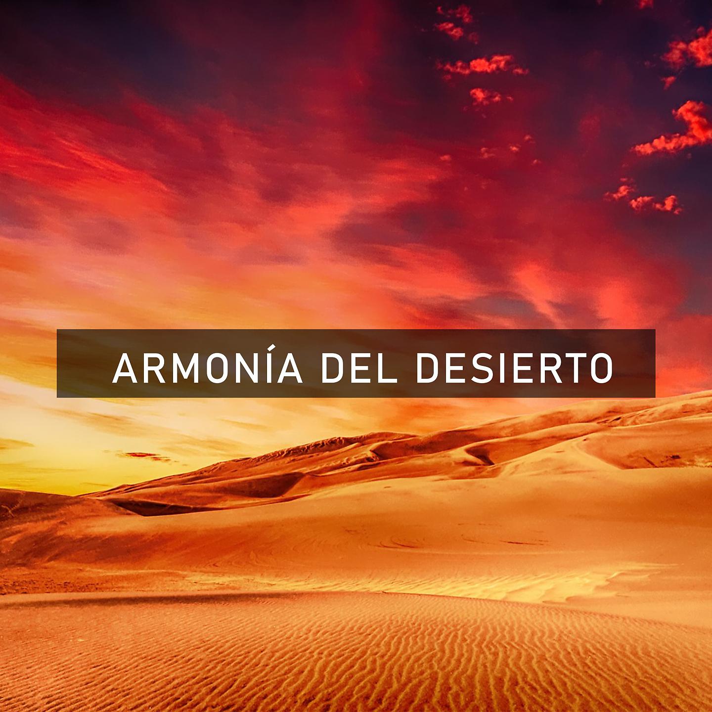 Постер альбома Armonía del Desierto