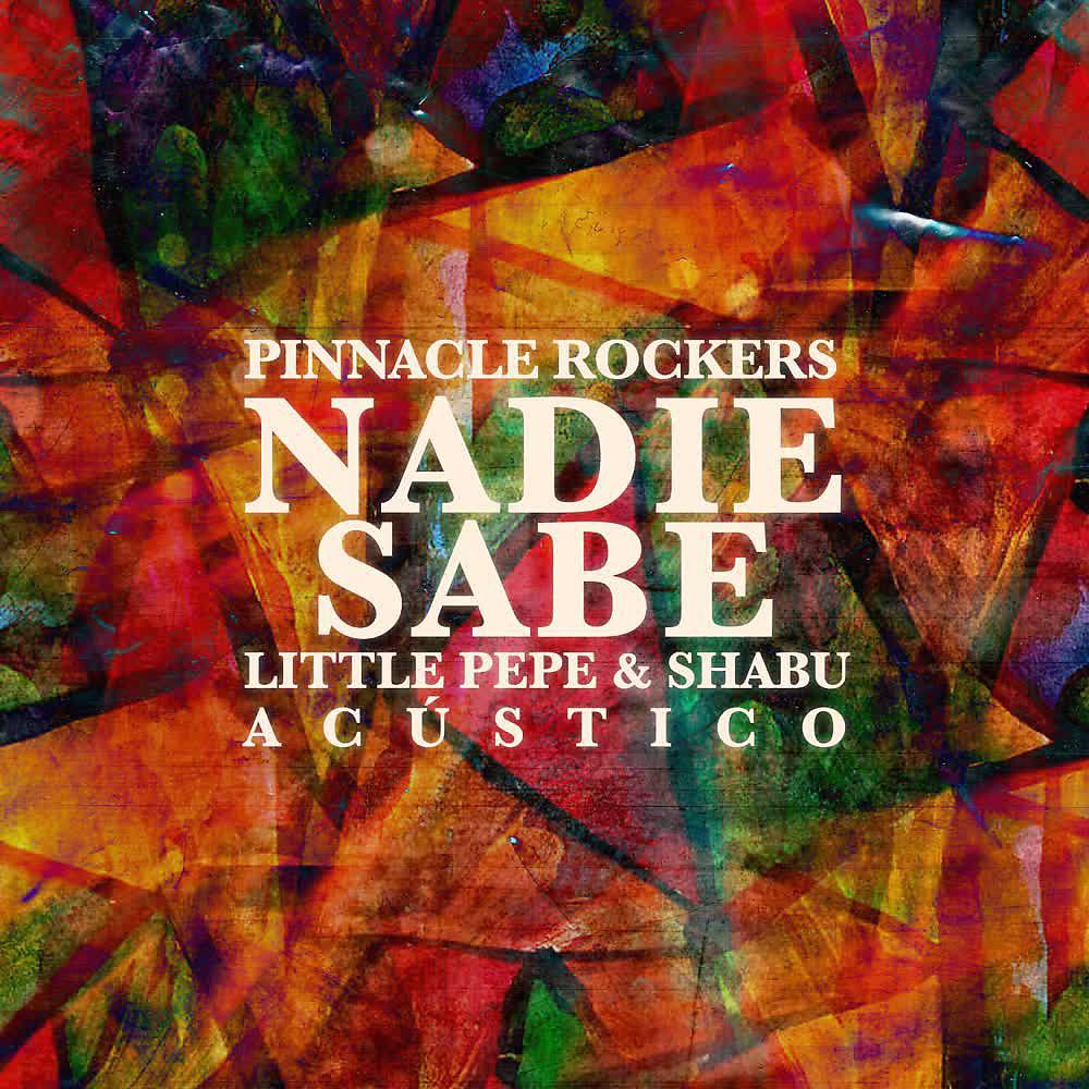Постер альбома Nadie Sabe (Acústica)