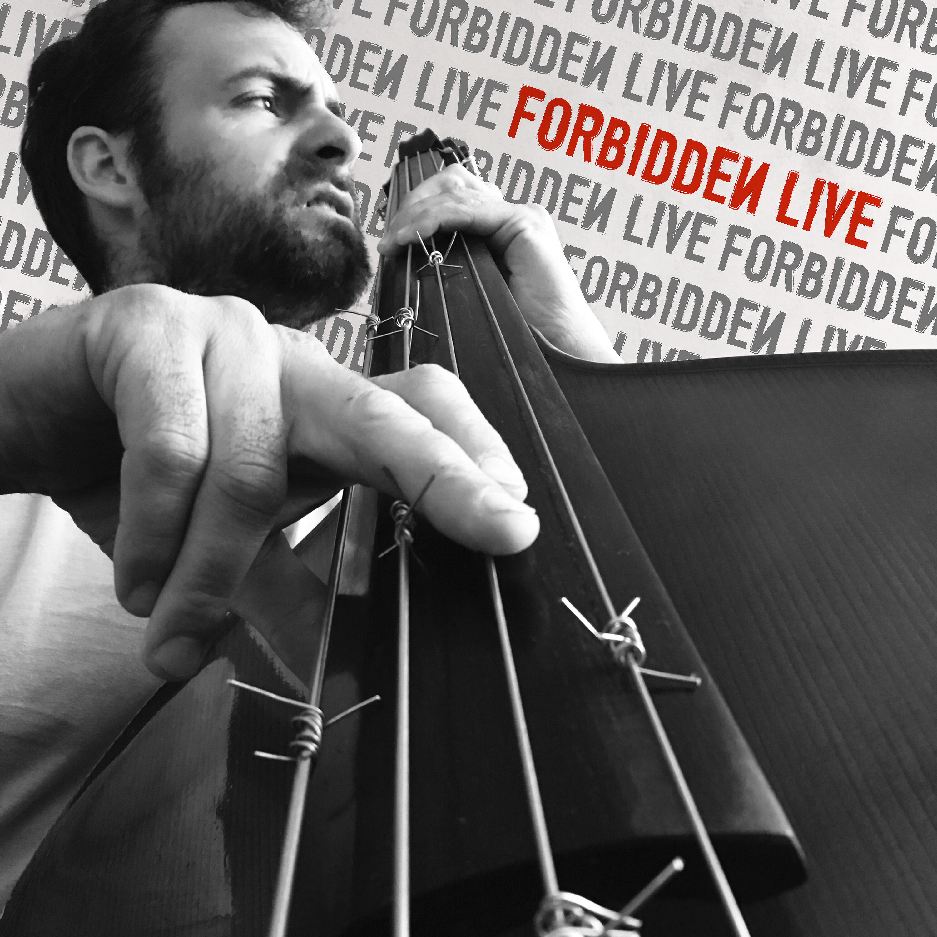 Vedran Ružić - Libertin (Live)