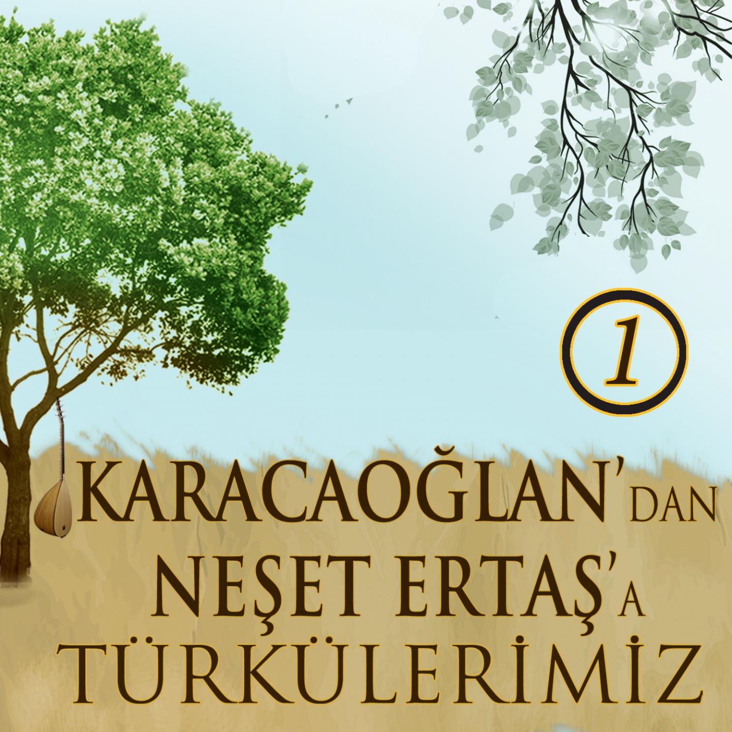 Постер альбома Karacaoğlan'dan Neşet Ertaş'a Türkülerimiz, Vol. 1 (Yüreğimde Türküler)