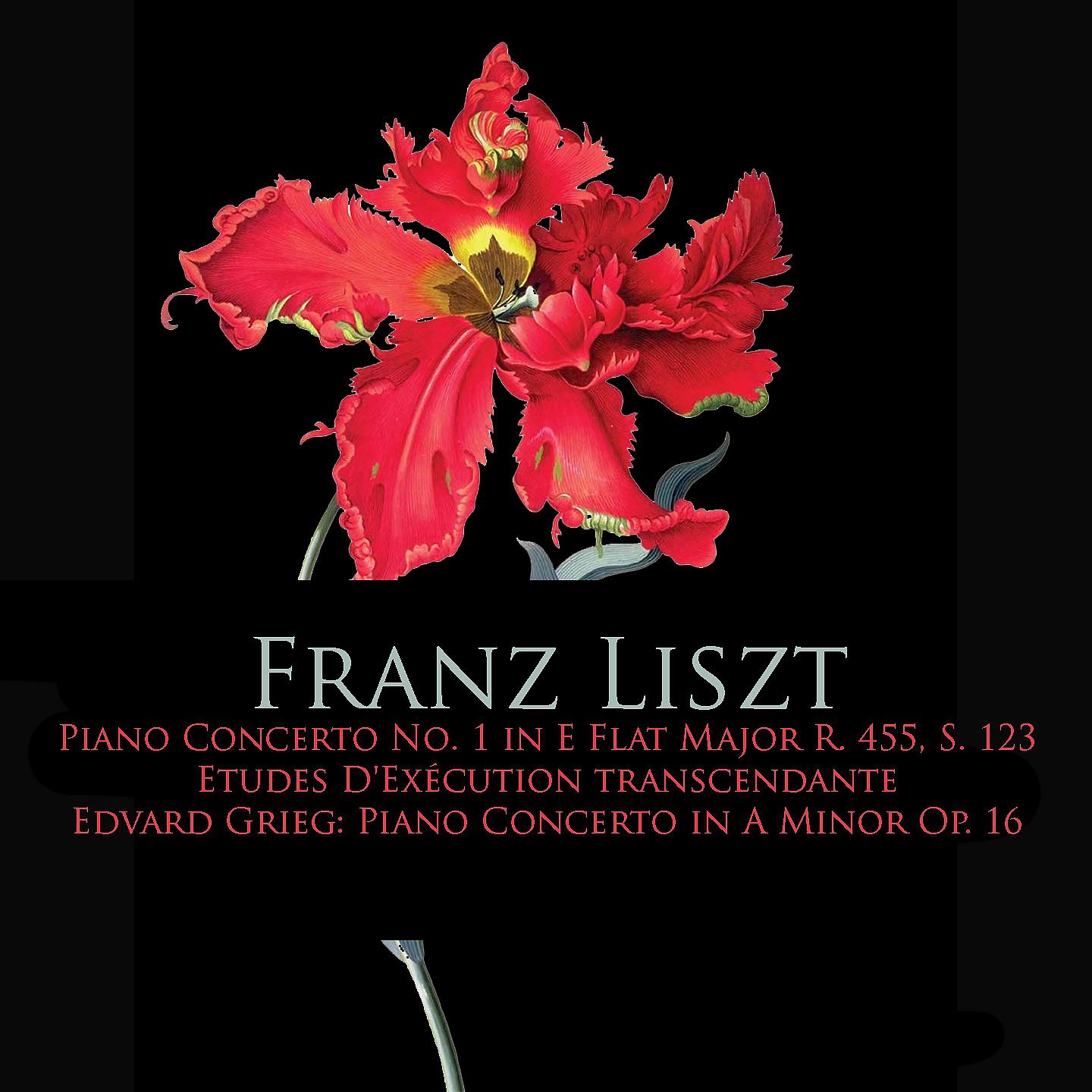 Постер альбома Franz Liszt: Piano Concerto No. 1 in E Flat Major, Etudes d'execution transcendante - Edvard Grieg: Piano Concerto In A Minor Op. 16