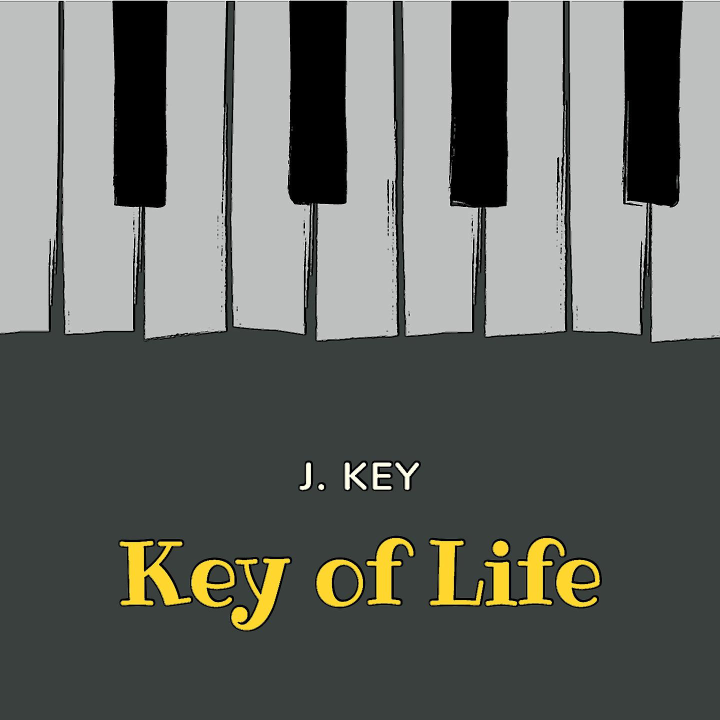 Постер альбома Key of Life