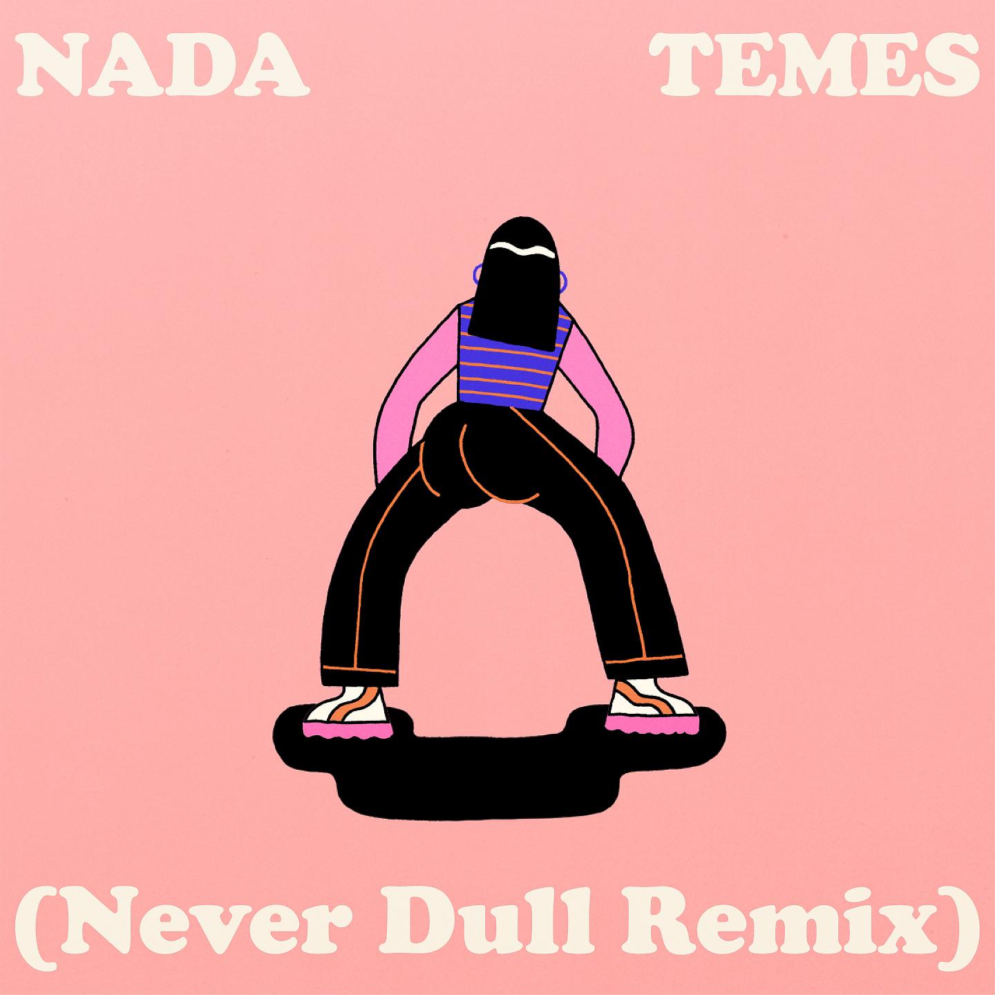 Постер альбома Nada Temes