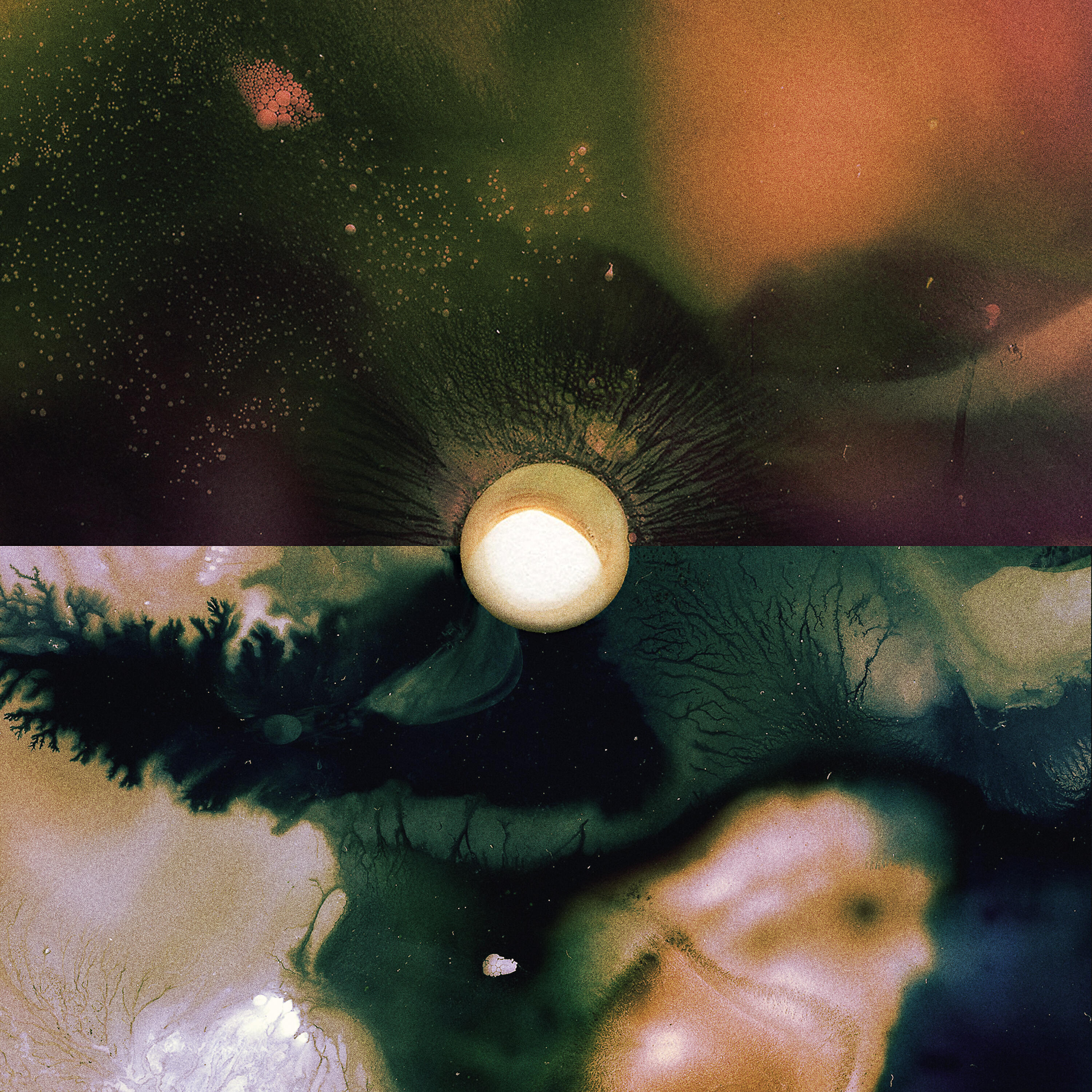 Silent Planet - Panopticon