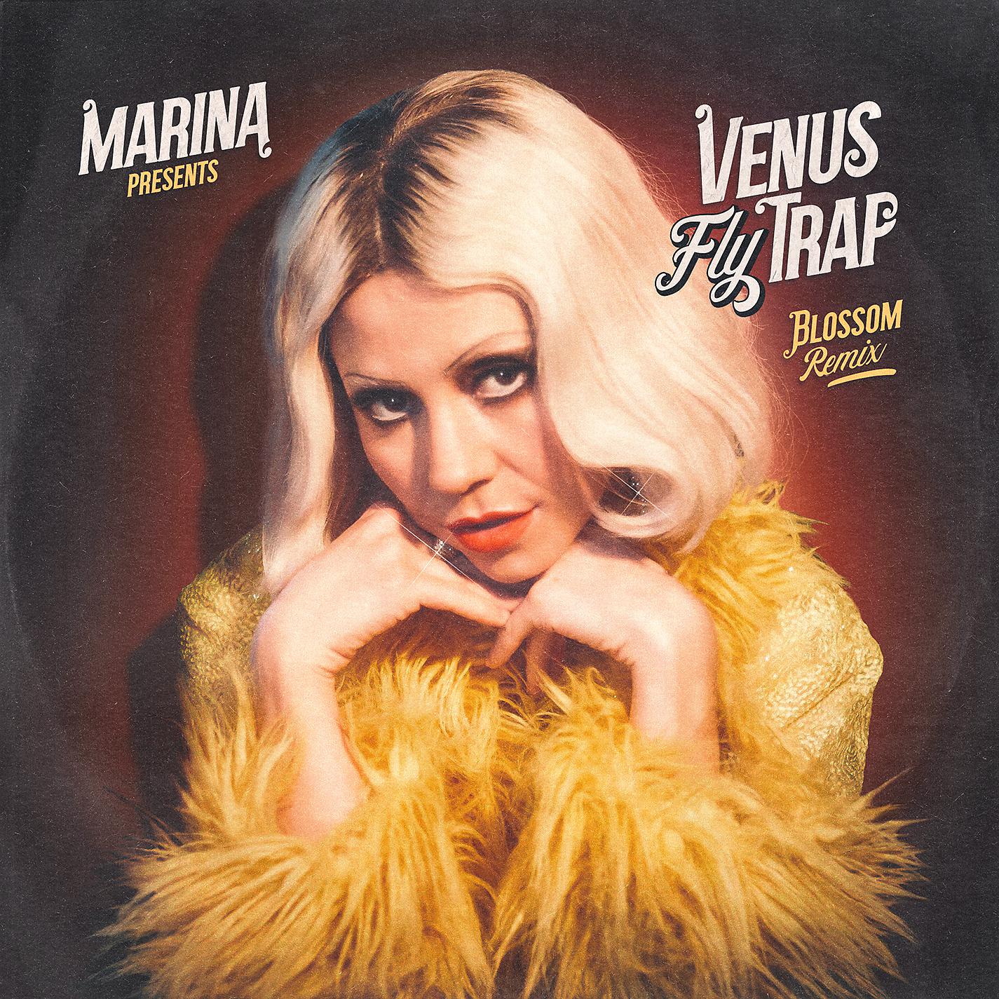 Постер альбома Venus Fly Trap (Blossom Remix)