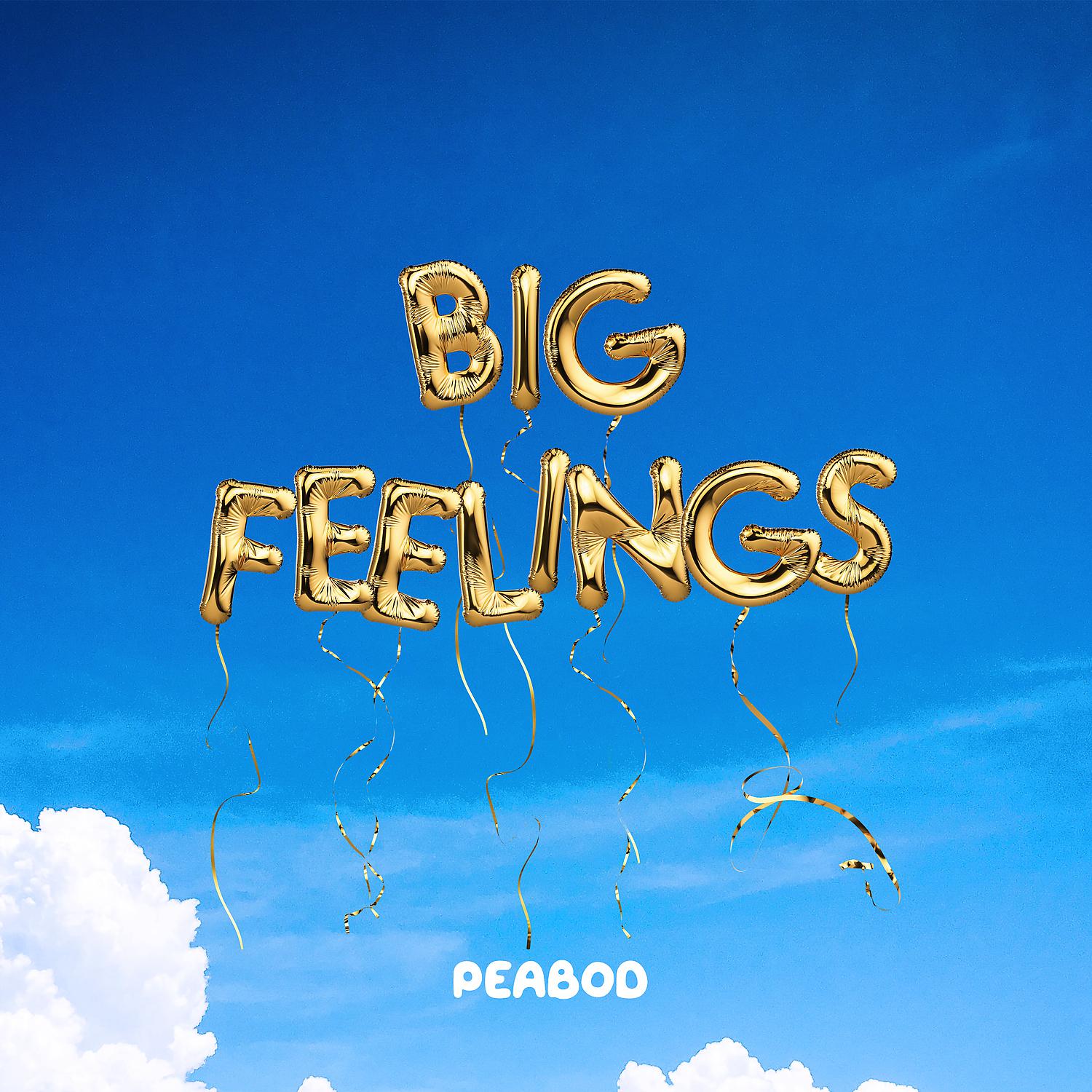 Постер альбома Big Feelings (feat. Aklesso)