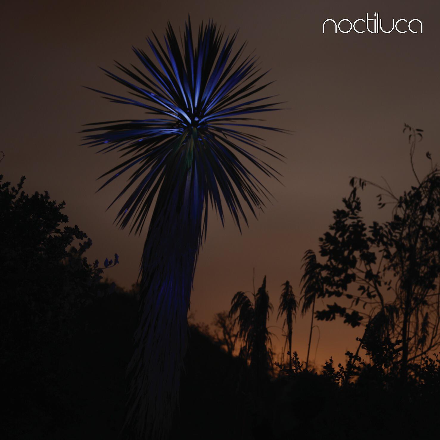 Noctiluca - Interludio