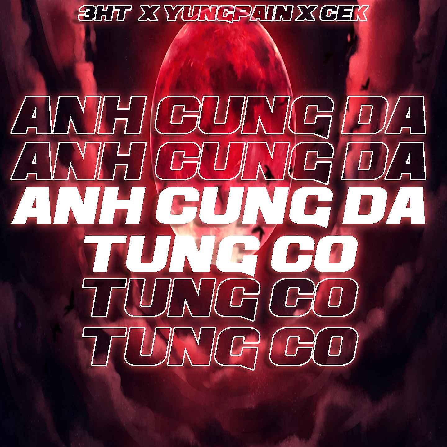 Постер альбома Anh Cũng Đã Từng Cố