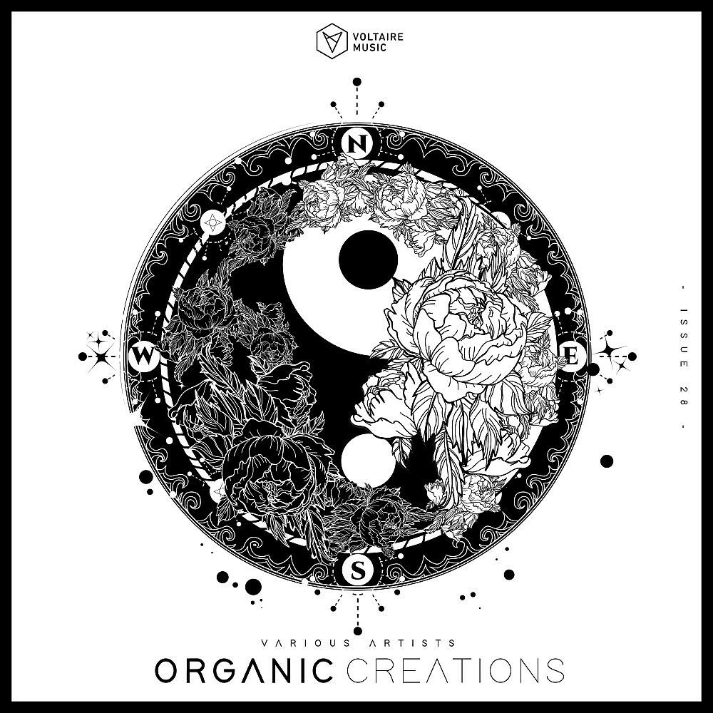Soulfeed - Dimbar (Original Mix)