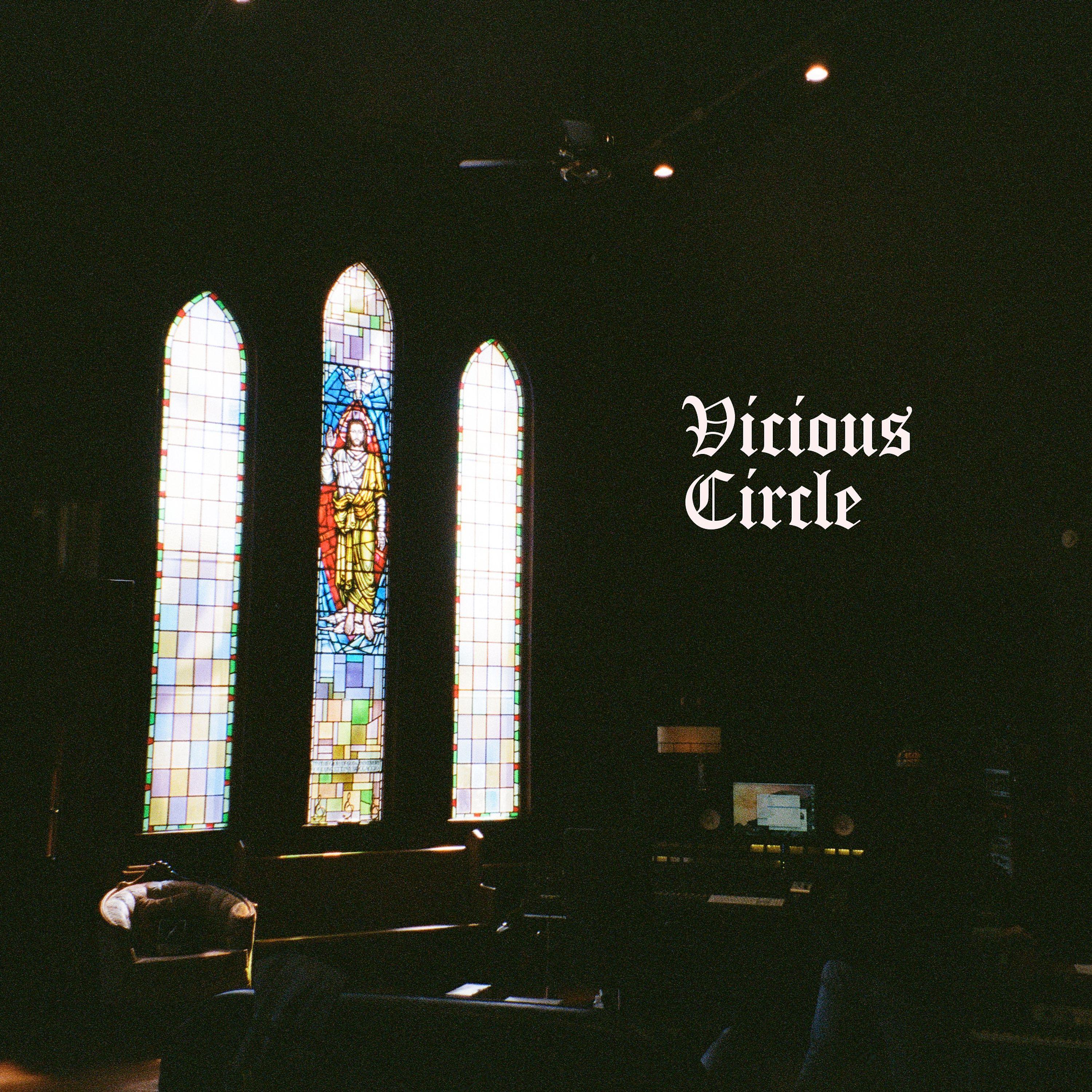 Постер альбома Vicious Circle (feat. City and Colour)