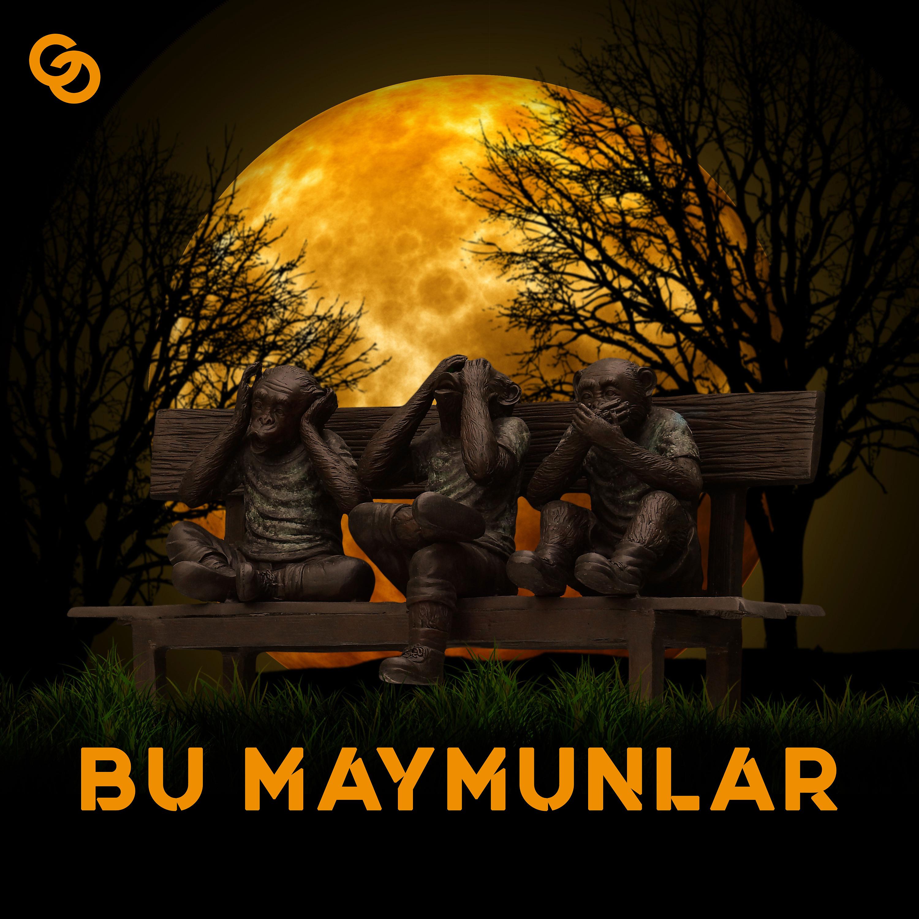 Постер альбома Bu Maymunlar