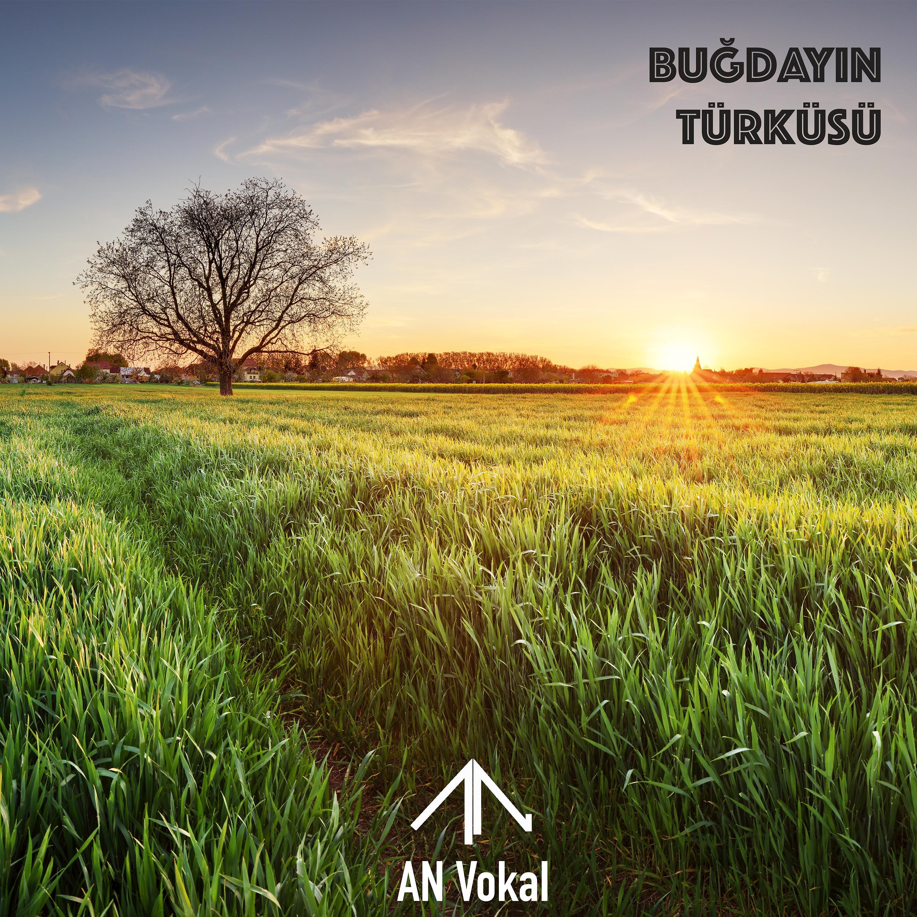 Постер альбома Buğdayın Türküsü