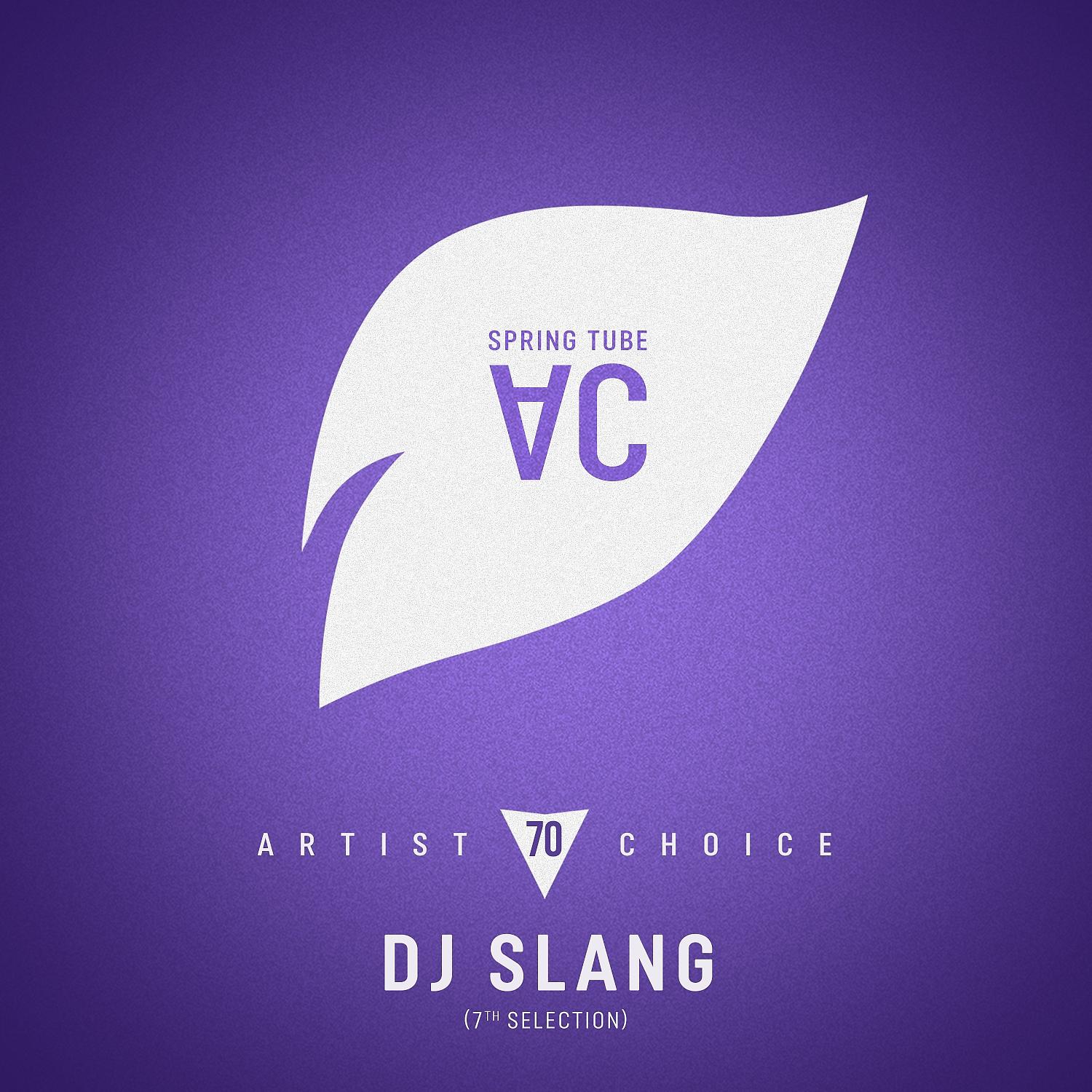 Постер альбома Artist Choice 070: DJ Slang (7th Selection)