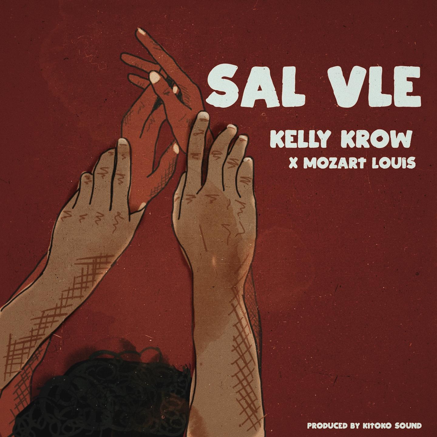 Постер альбома Sal Vle