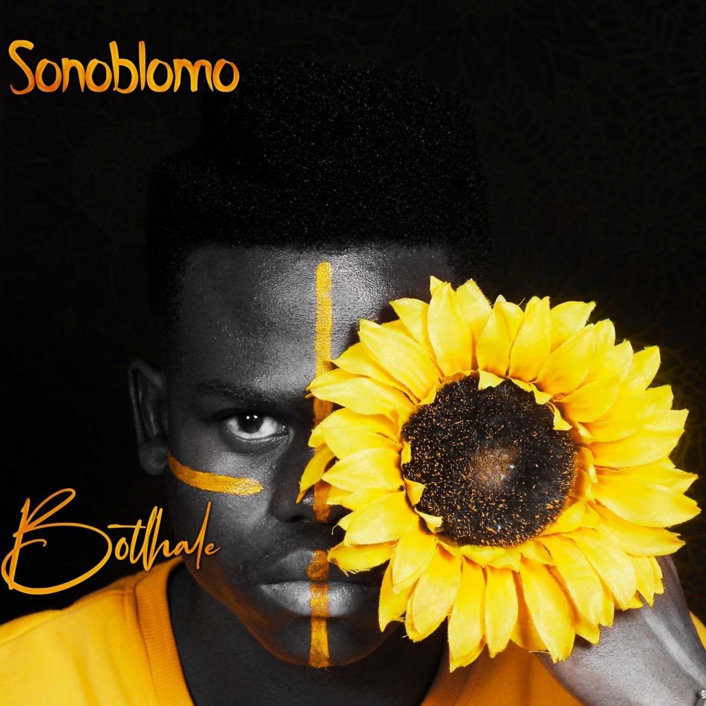 Постер альбома Sonoblomo