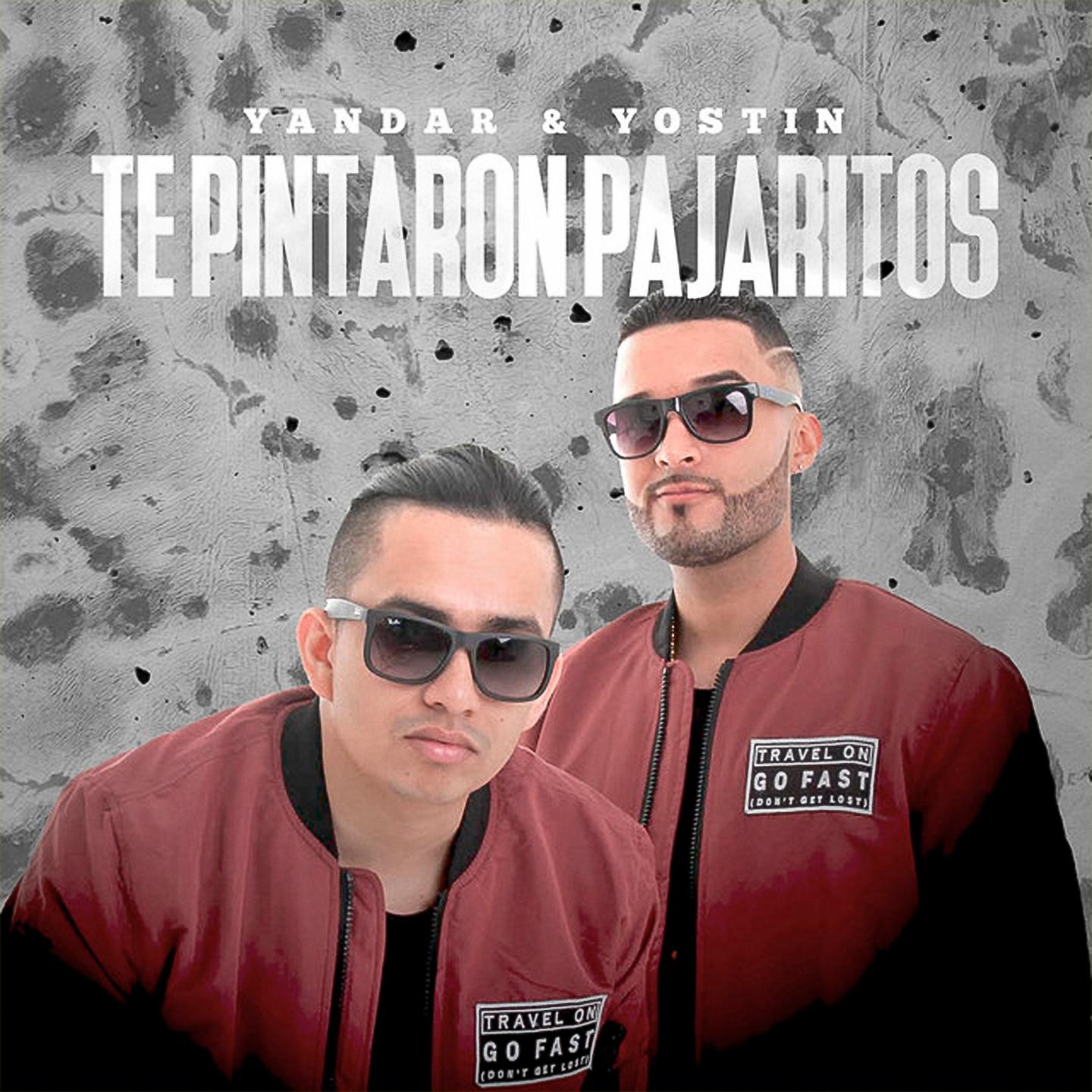 Постер альбома Te Pintaron Pajaritos