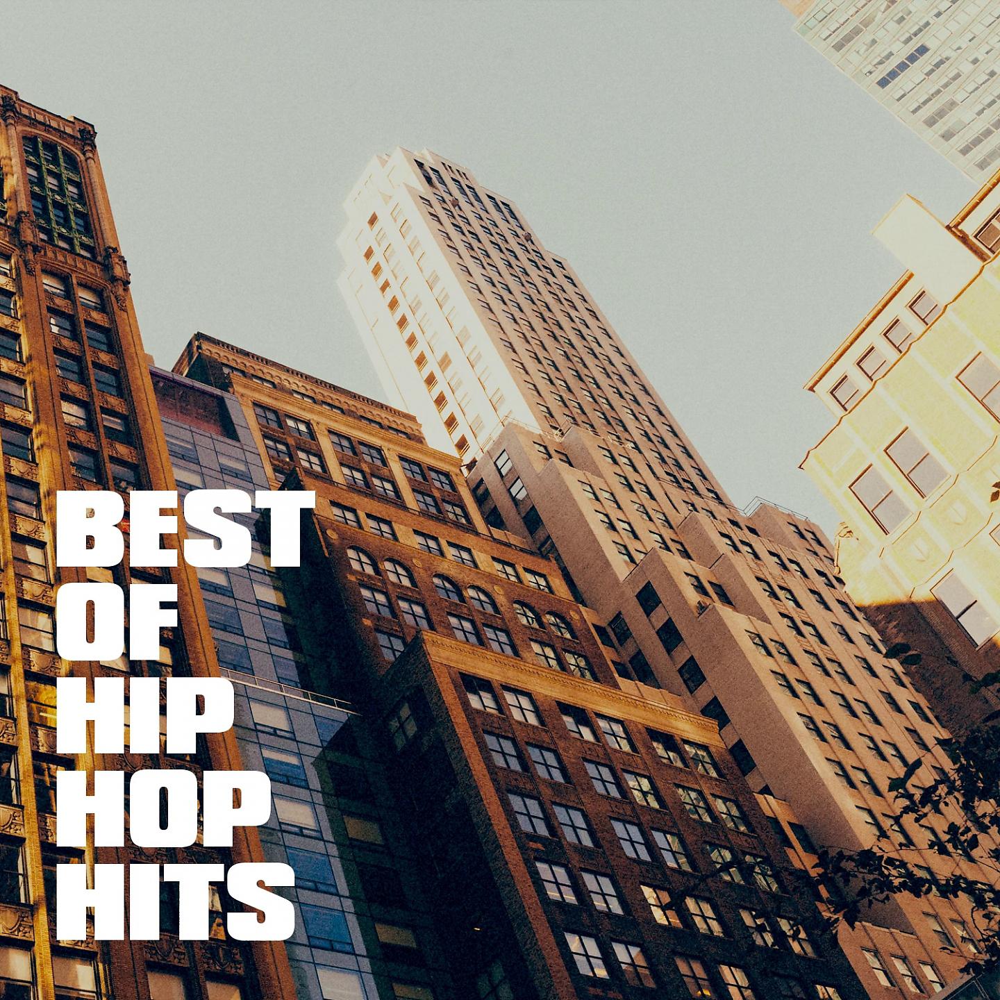 Постер альбома Best of Hip Hop Hits
