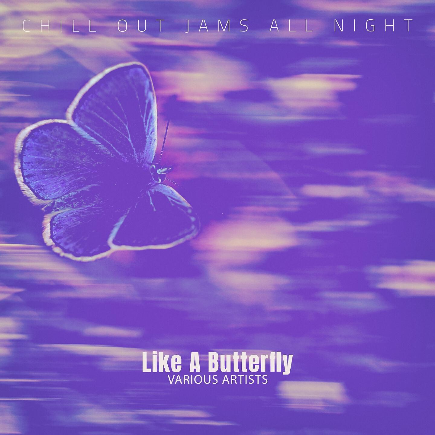 Matt Petteney - Bamboo Canes (Paper Planes Mix)