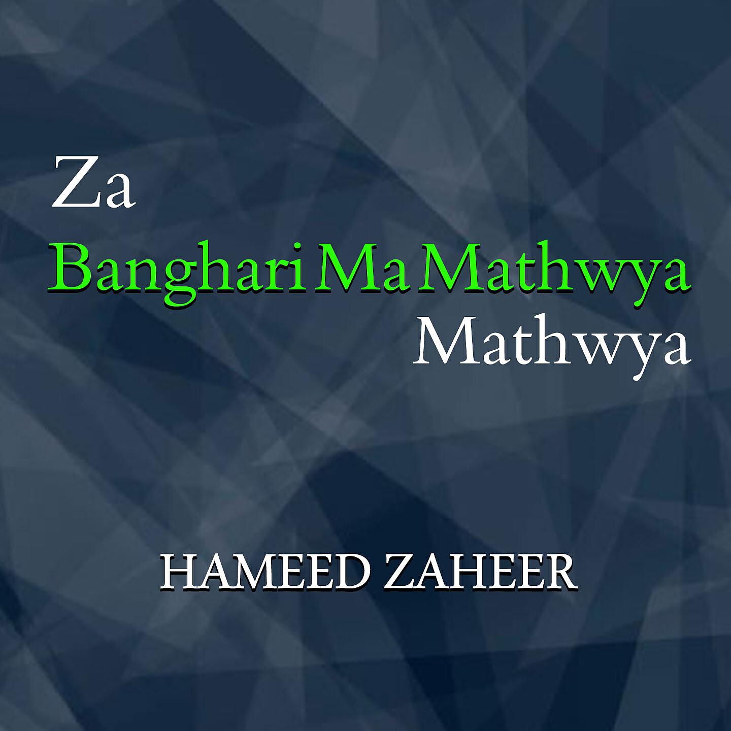 Hameed Zaheer - Stha Da Dhoo Stharghoo