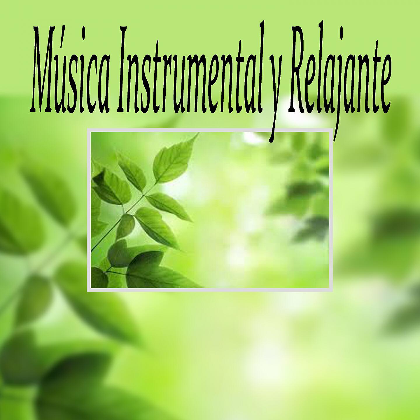 Musica Relajante - Posturas de Yoga para Principiantes