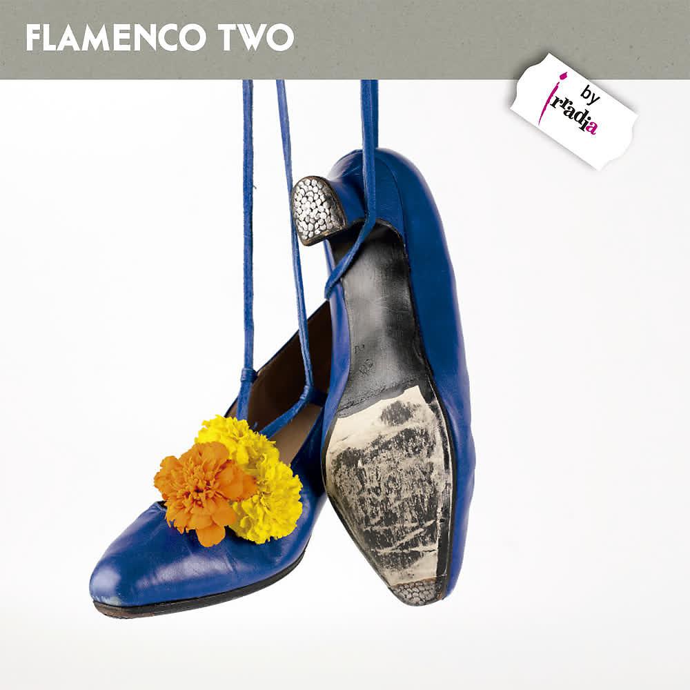 Постер альбома Flamenco Two